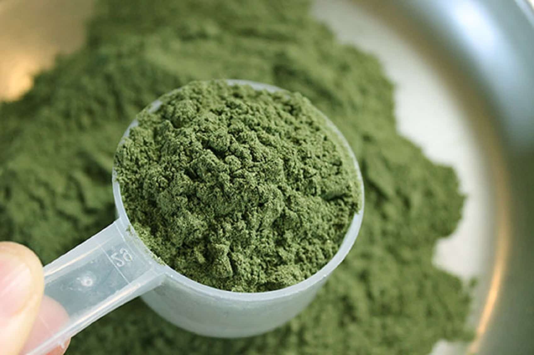 Green Malay Kratom Enhance Your Wellbeing Naturally